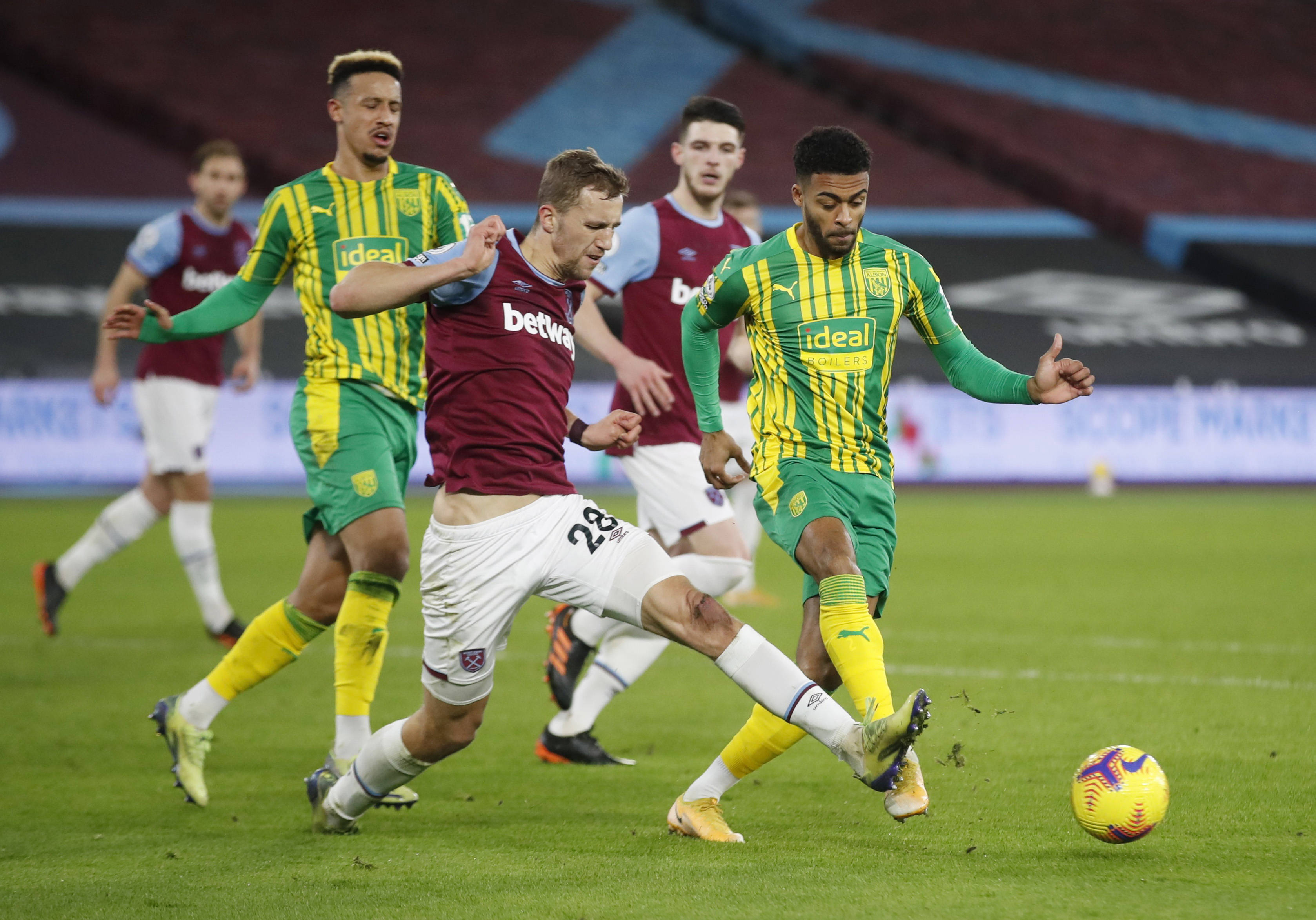 森林不仅是 森林不仅是